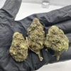 Apple Fritter THCa Flower