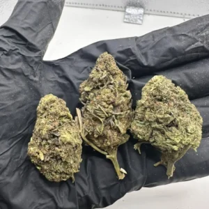 Apple Fritter THCa Flower