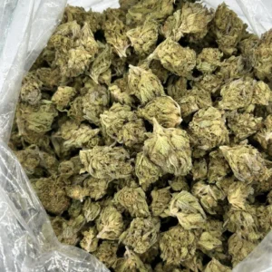 Blueberry Muffin THCa Flower